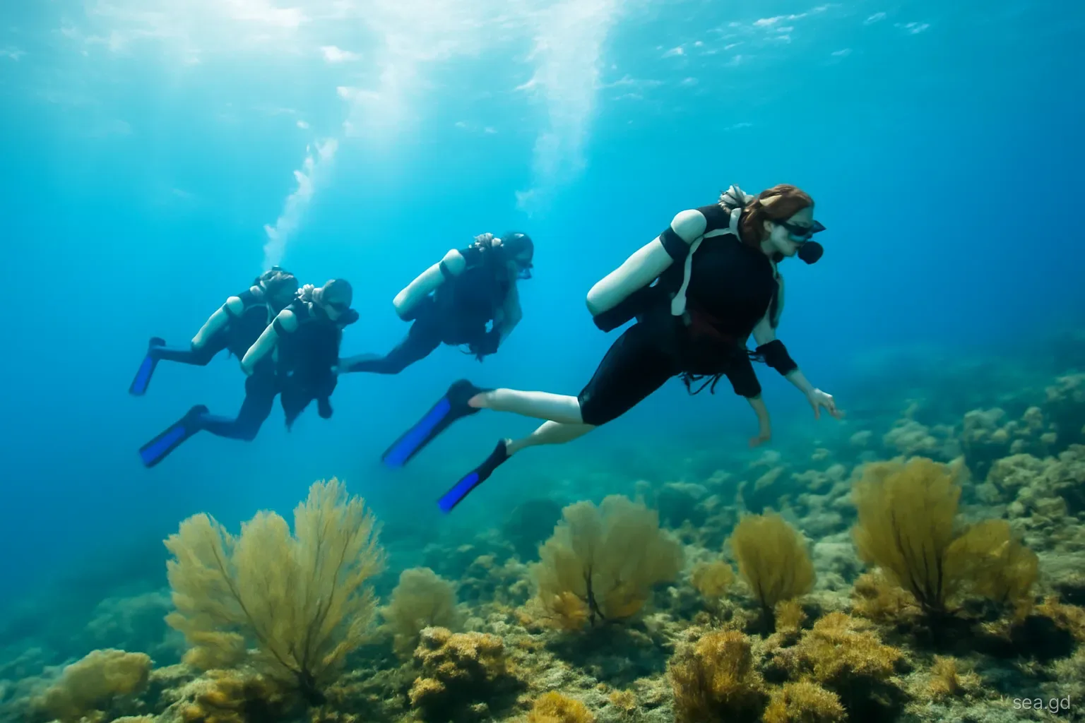 Group of divers gliding horizontally over a sloping coral reef in Grenada carried by current, sea fans bending, side view, clear blue water, sunlight from above