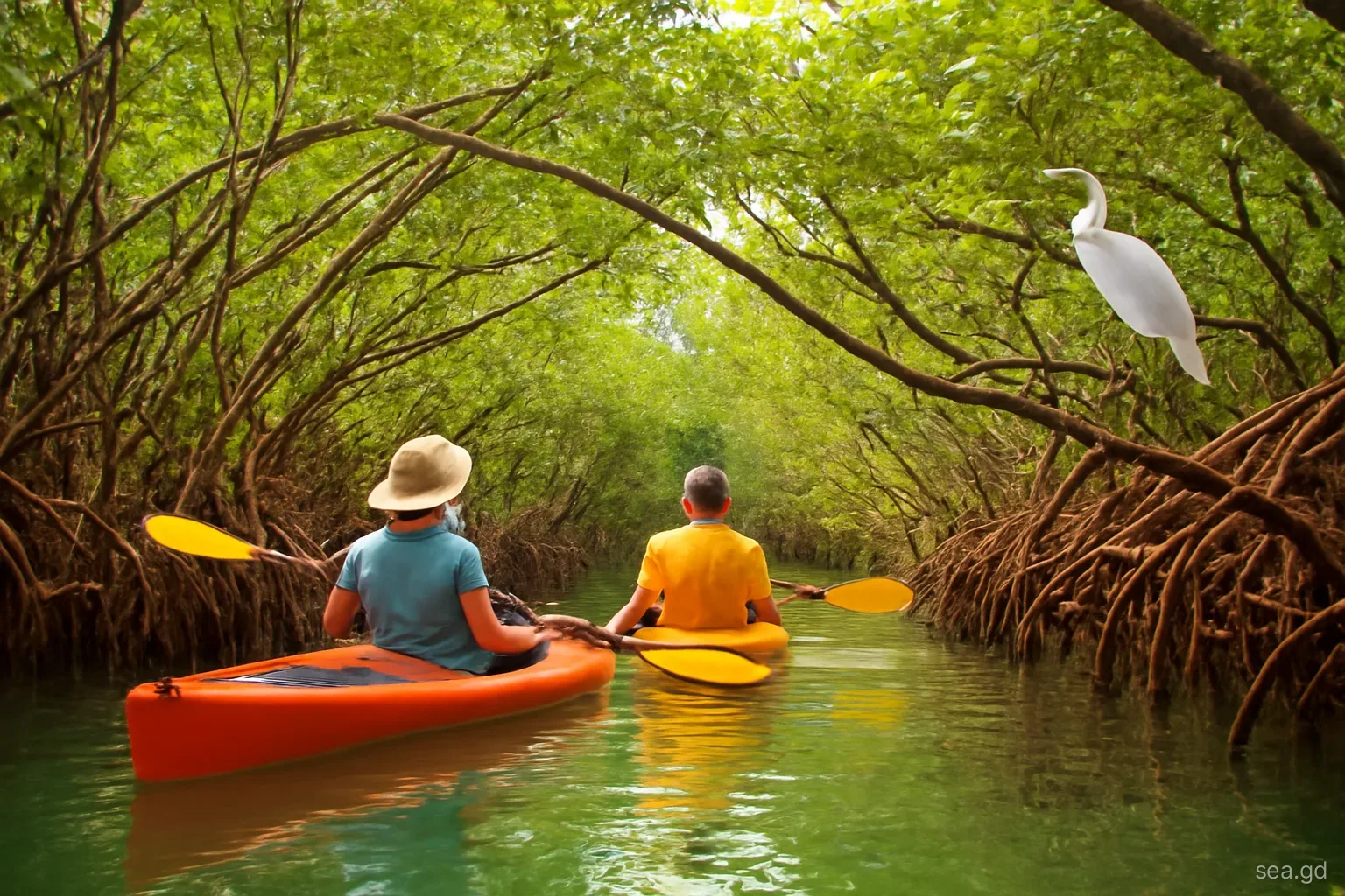 Two kayakers paddling quietly through a narrow channel of red mangrove roots arching over calm green water at Tyrrel Bay, Carriacou, egret on a branch, low angle