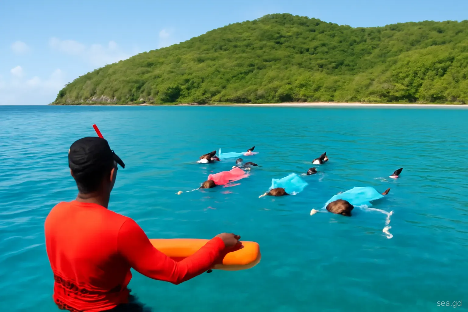Small group of snorkellers in bright rash vests floating face down behind a guide with an orange float in calm blue water at Moliniere Bay, Grenada, green hillside behind